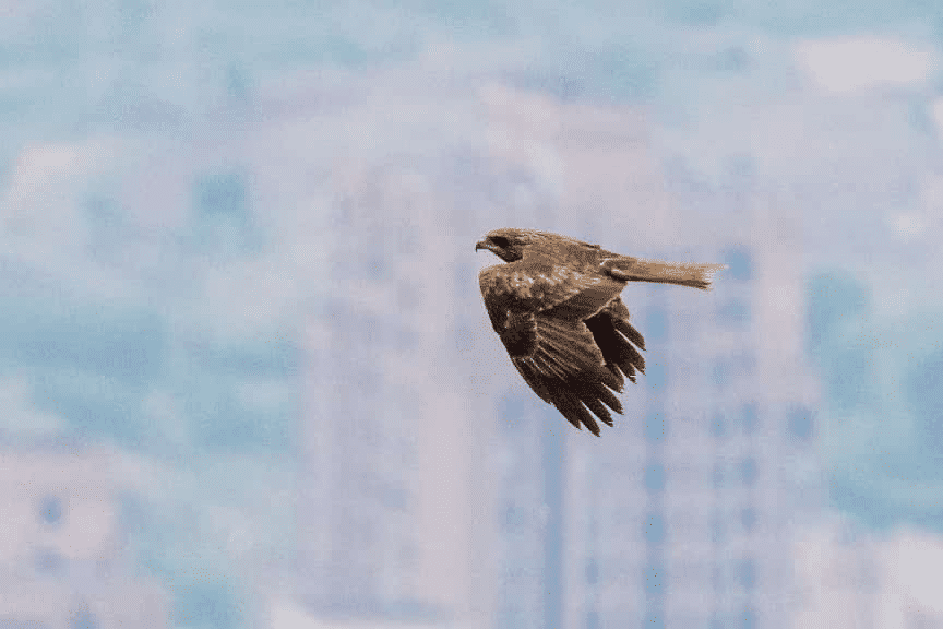 80794d993b2643a8985d81de222eb4d8_wh864x576.png