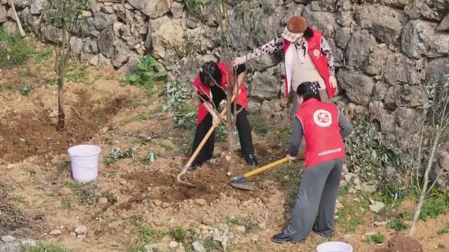 图片7.png